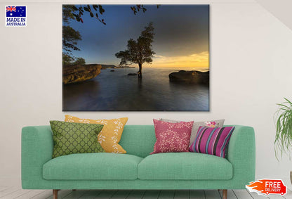 Tree in Sea Sunset Photograph Print 100% Australian Made