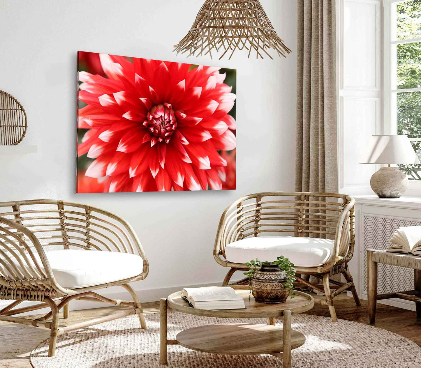 Bella Home Red & White Dahlia Flower Closeup Print Canvas Ready to hang