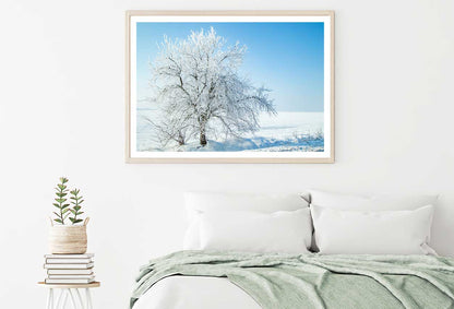 Snow Tree on Field with Blue Sky View Photograph Home Decor Premium Quality Poster Print Choose Your Sizes