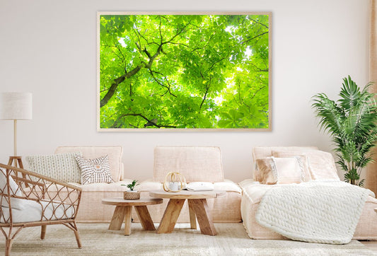 Green Tree Leaves View From Below Photograph Home Decor Premium Quality Poster Print Choose Your Sizes