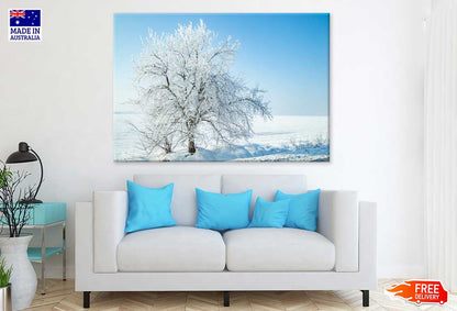 Snow Tree on Field with Blue Sky Scenery Print 100% Australian Made