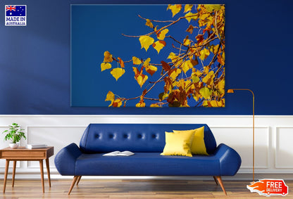 Linden Leaves Branch Under Blue Sky Photograph Print 100% Australian Made