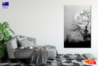 Dry Tree & Night Sky B&W View Photograph Print 100% Australian Made