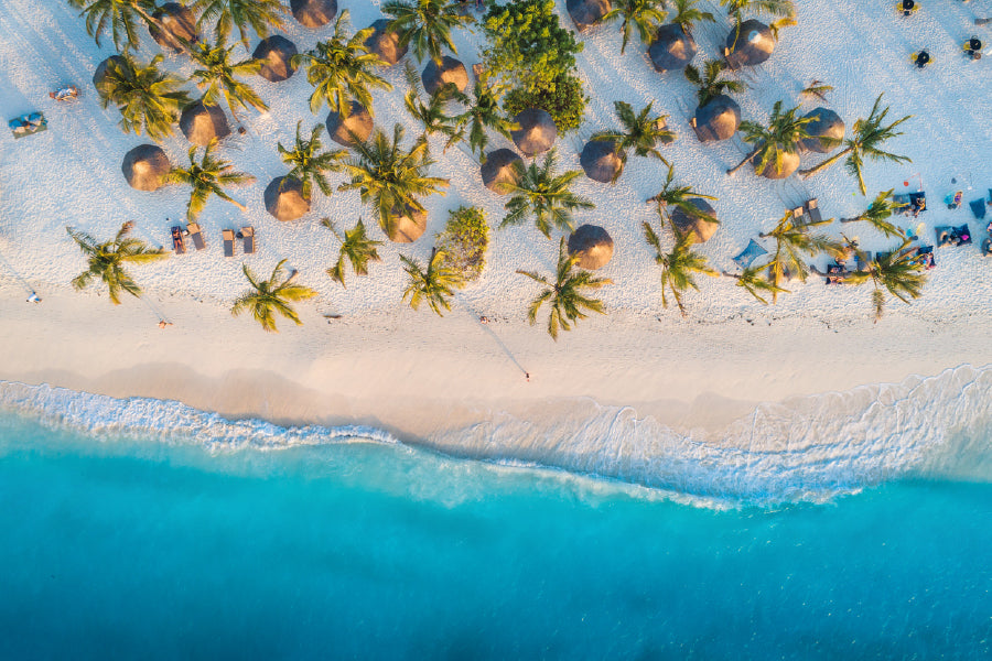 Aerial View Trees On Sandy Beach Photograph Print 100% Australian Made