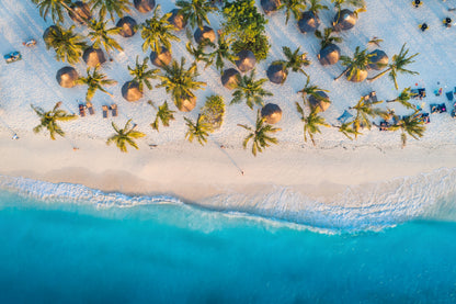 Aerial View Trees On Sandy Beach Photograph Print 100% Australian Made