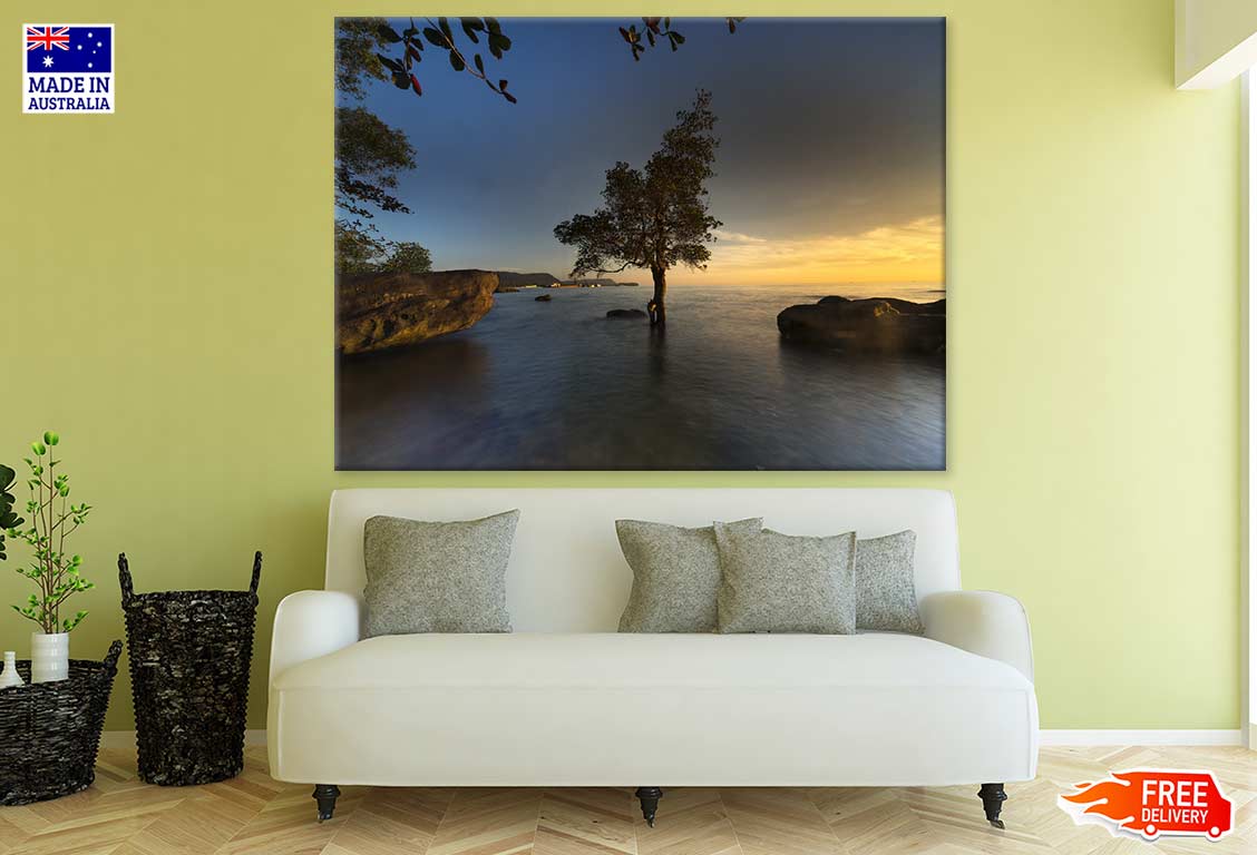 Tree in Sea Sunset Photograph Print 100% Australian Made