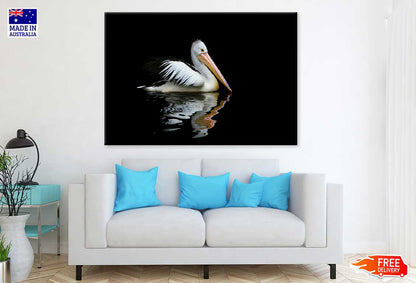 Australia Pelican Sea Bird View Photograph Print 100% Australian Made