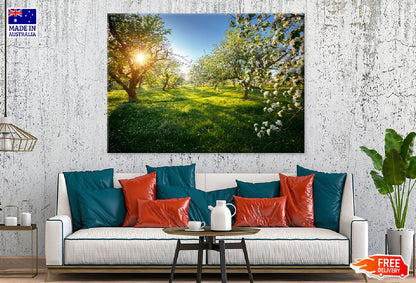 Blooming Lush Trees Garden View Photograph Print 100% Australian Made