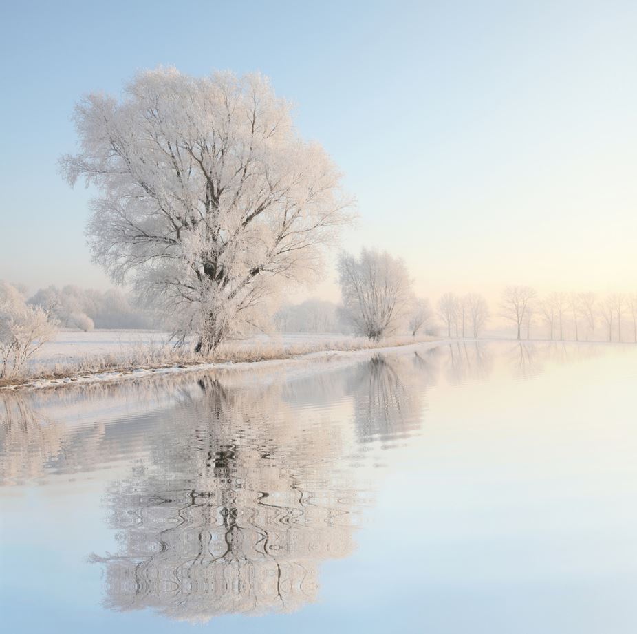 Square Canvas Snow Trees & Lake View Photograph High Quality Print 100% Australian Made