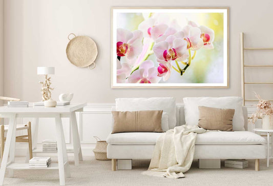 White Pink Orchid Flowers View Home Decor Premium Quality Poster Print Choose Your Sizes