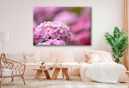 Bella Home Pink Hydrangea Flowers Photograph Print Canvas Ready to hang