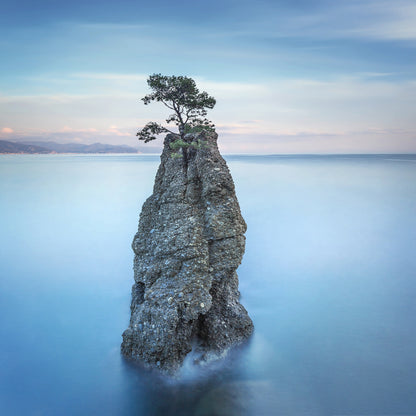 Square Canvas Alone Tree on Rock Lake View Photograph High Quality Print 100% Australian Made