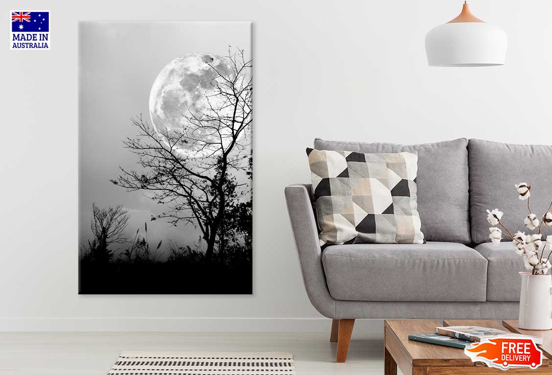 Dry Tree & Night Sky B&W View Photograph Print 100% Australian Made