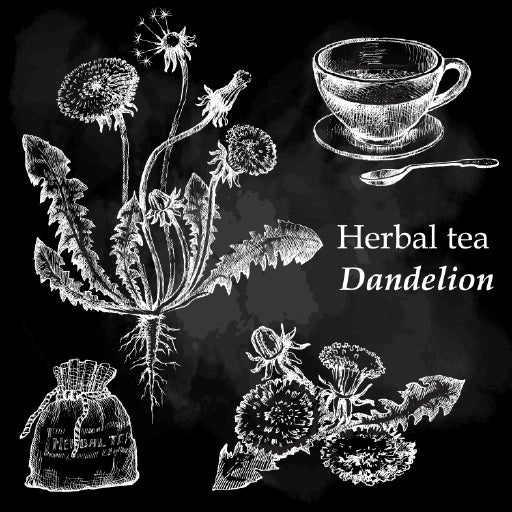 Square Canvas Dandelion Herbal Tea Vector Design High Quality Print 100% Australian Made