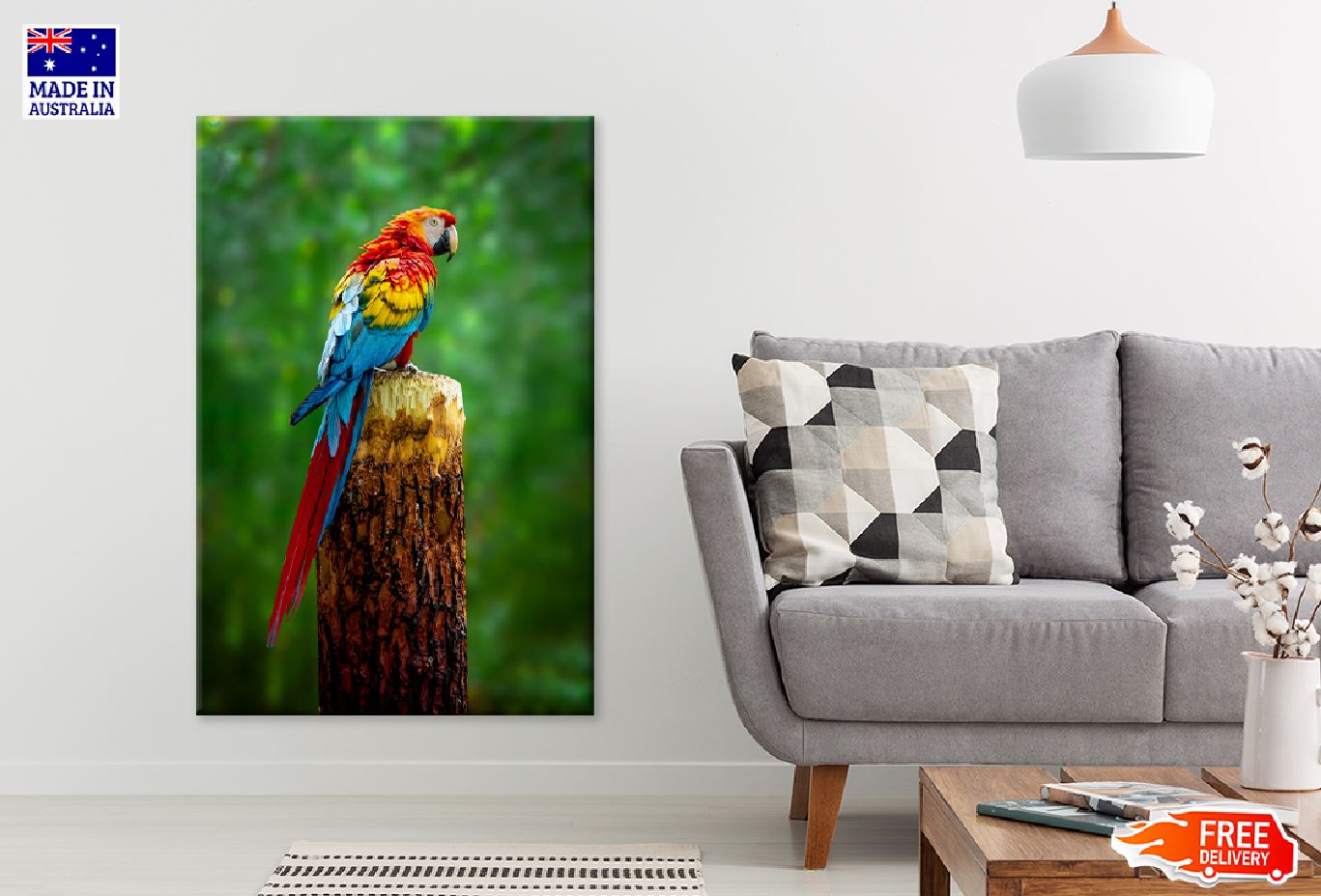 Colorful Macaw Parrot on Branch Photograph Print 100% Australian Made