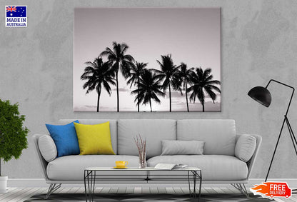 Palm Trees & Sky View B&W Photograph Print 100% Australian Made