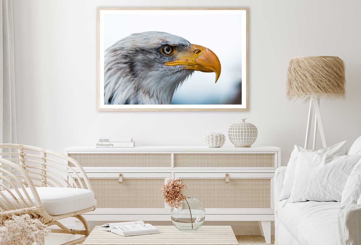 Bald Eagle Closeup View Photograph Home Decor Premium Quality Poster Print Choose Your Sizes