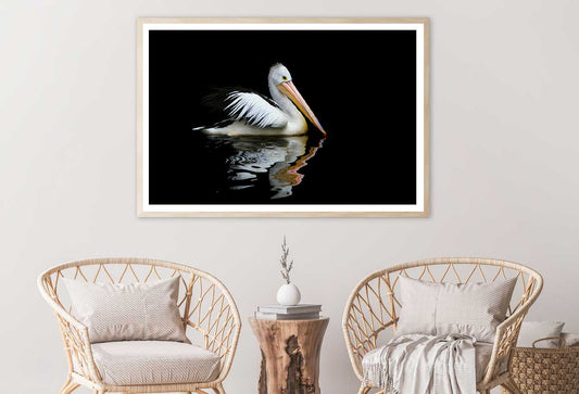 Australia Pelican Sea Bird View Photograph Home Decor Premium Quality Poster Print Choose Your Sizes
