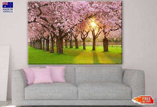 Pink Floral Trees Park Photograph Print 100% Australian Made