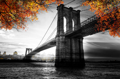 B&W Bridge & Autumn Tree View Photograph Print 100% Australian Made