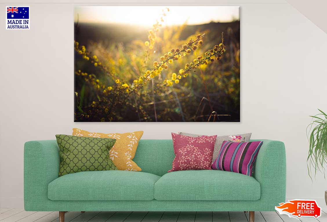 Yellow Flower Plants Sunset View Photograph Print 100% Australian Made