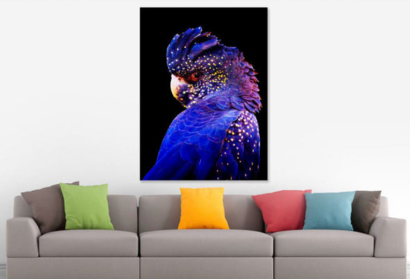 Cockatoo Bird Beautiful Stunning Print 100% Australian Made