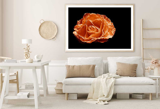 Water on Orange Rose Closeup View Photograph Home Decor Premium Quality Poster Print Choose Your Sizes