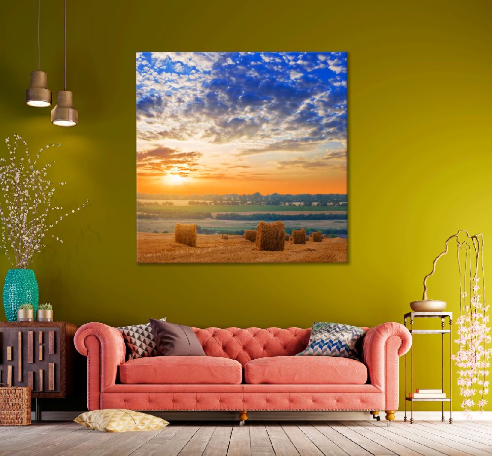 Square Canvas Brown Rice Field Sunset Scenery High Quality Print 100% Australian Made