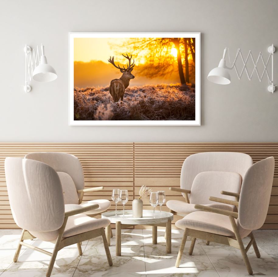 Deer in Forest Sunset Photograph Home Decor Premium Quality Poster Print Choose Your Sizes