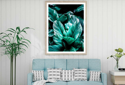 Tropical Green Leaves Closeup View Photograph Home Decor Premium Quality Poster Print Choose Your Sizes