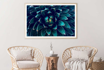 Dark Green Cactus Flower Closeup View Photograph Home Decor Premium Quality Poster Print Choose Your Sizes