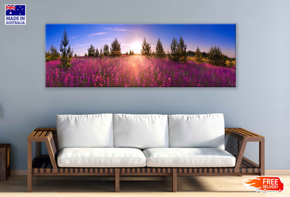 Panoramic Canvas Pink Flowers Field Photograph High Quality 100% Australian Made Wall Canvas Print Ready to Hang