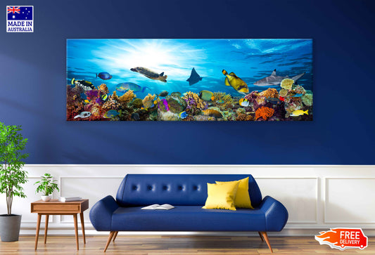 Panoramic Canvas Underwater Marine Life Photograph High Quality 100% Australian Made Wall Canvas Print Ready to Hang