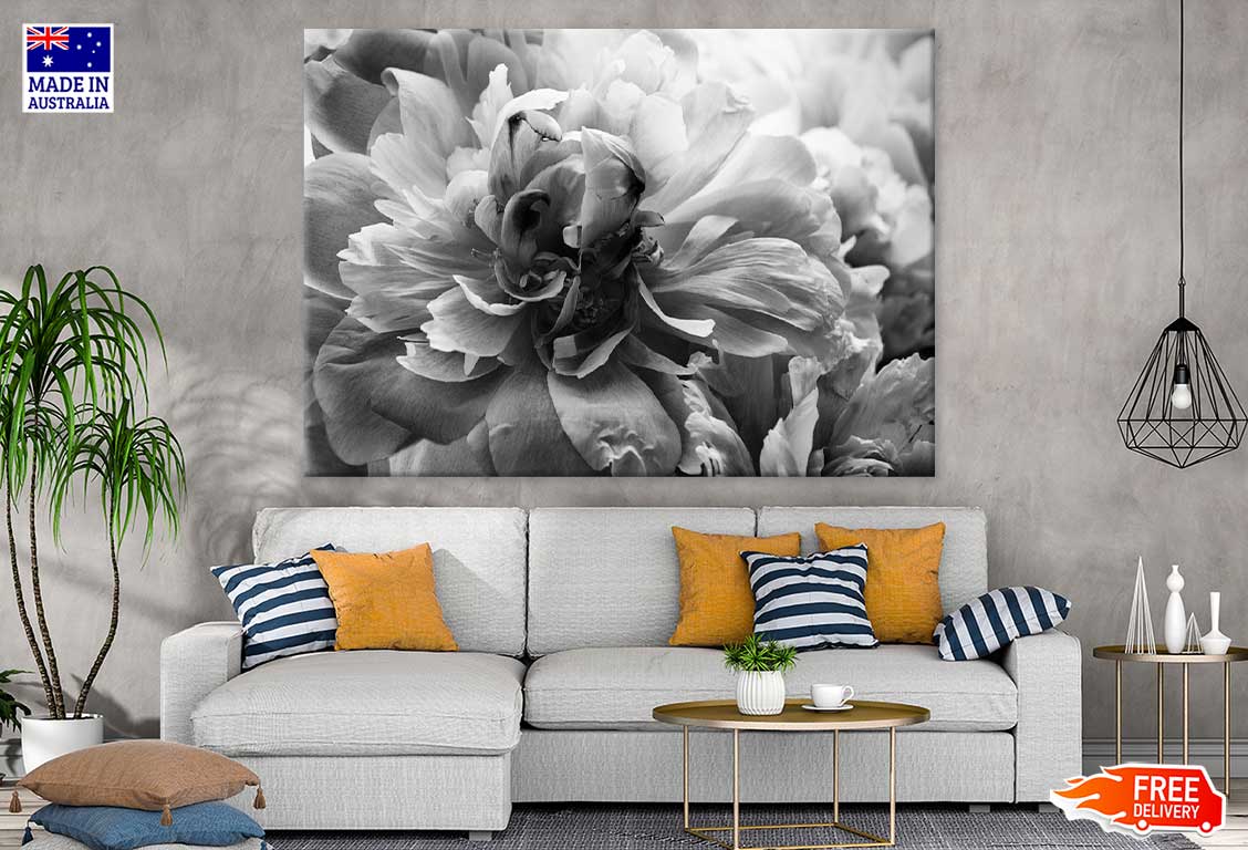 Flower Petals B&W View Photograph Print 100% Australian Made