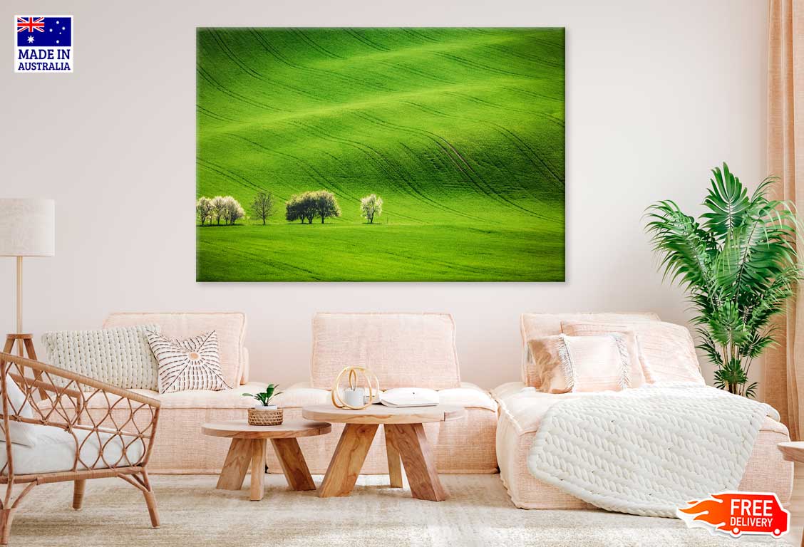 Trees on Green Grass Field Scenery View Photograph Print 100% Australian Made