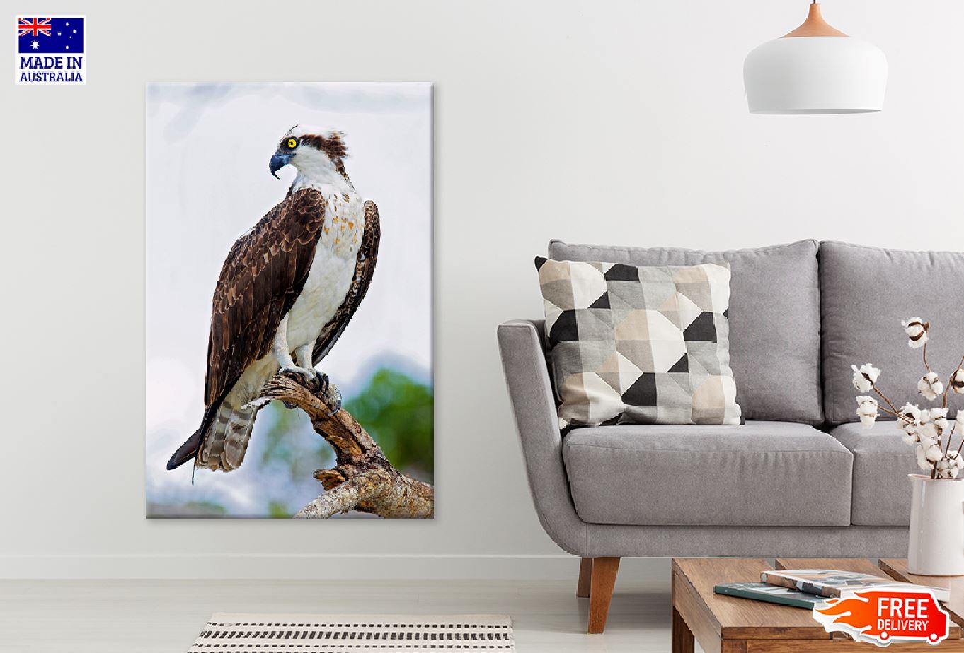 Osprey Eagle on Tree Branch View Photograph Print 100% Australian Made