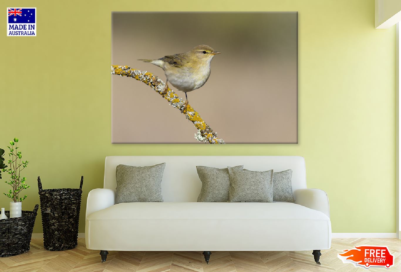 Willow Warbler Bird on Tree Branch Photograph Print 100% Australian Made