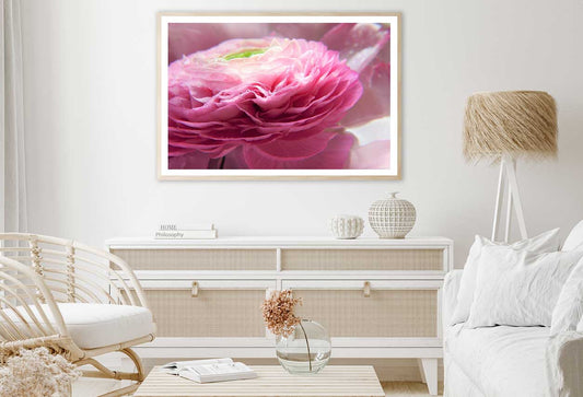 Pink Ranunculus Flower Photograph Home Decor Premium Quality Poster Print Choose Your Sizes