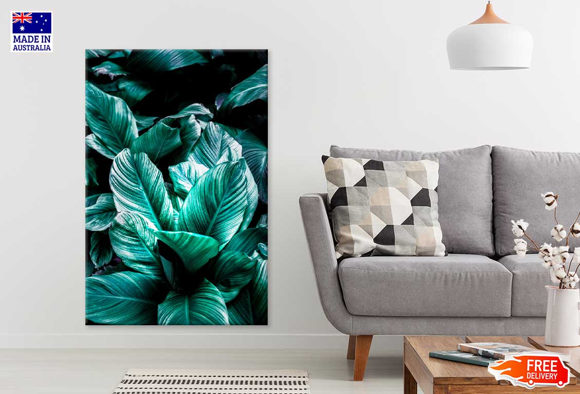 Tropical Green Leaves Closeup View Photograph Print 100% Australian Made