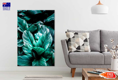 Tropical Green Leaves Closeup View Photograph Print 100% Australian Made