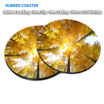 Yellow Beech Forest With Sky View Coasters Wood & Rubber - Set of 6 Coasters