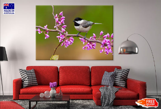 Black Capped Bird on Flower Tree Photograph Print 100% Australian Made