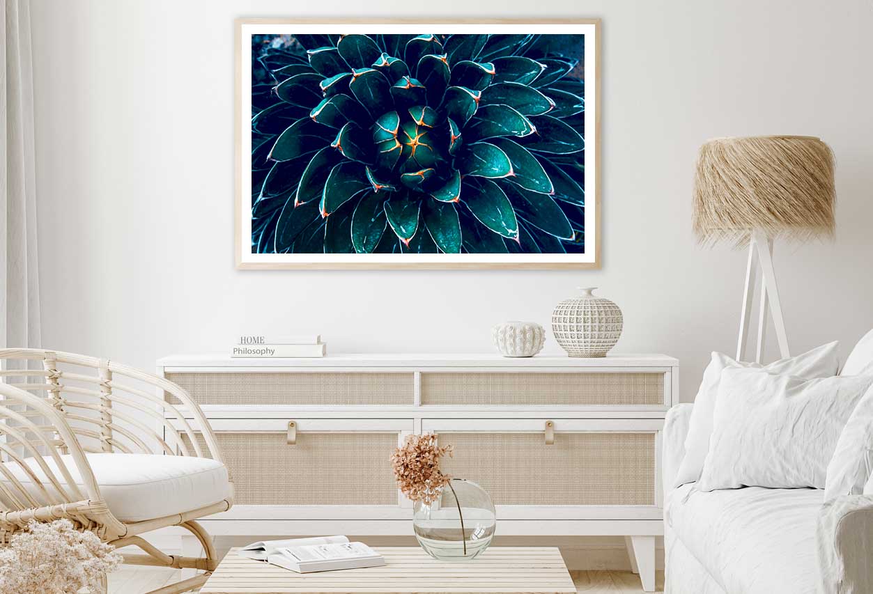 Dark Green Cactus Flower Closeup View Photograph Home Decor Premium Quality Poster Print Choose Your Sizes