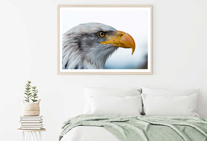 Bald Eagle Closeup View Photograph Home Decor Premium Quality Poster Print Choose Your Sizes