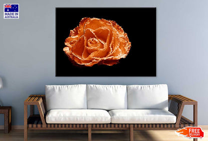 Water on Orange Rose Closeup View Photograph Print 100% Australian Made