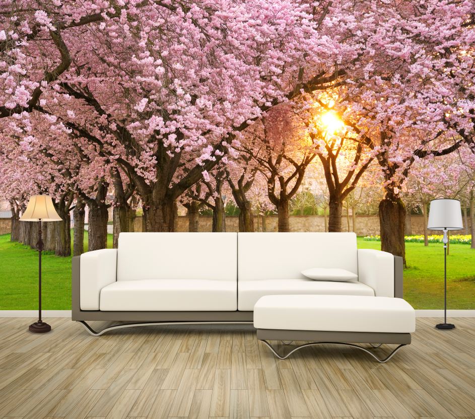 Wallpaper Murals Peel and Stick Removable Blossom Flower Trees in Park Photograph High Quality