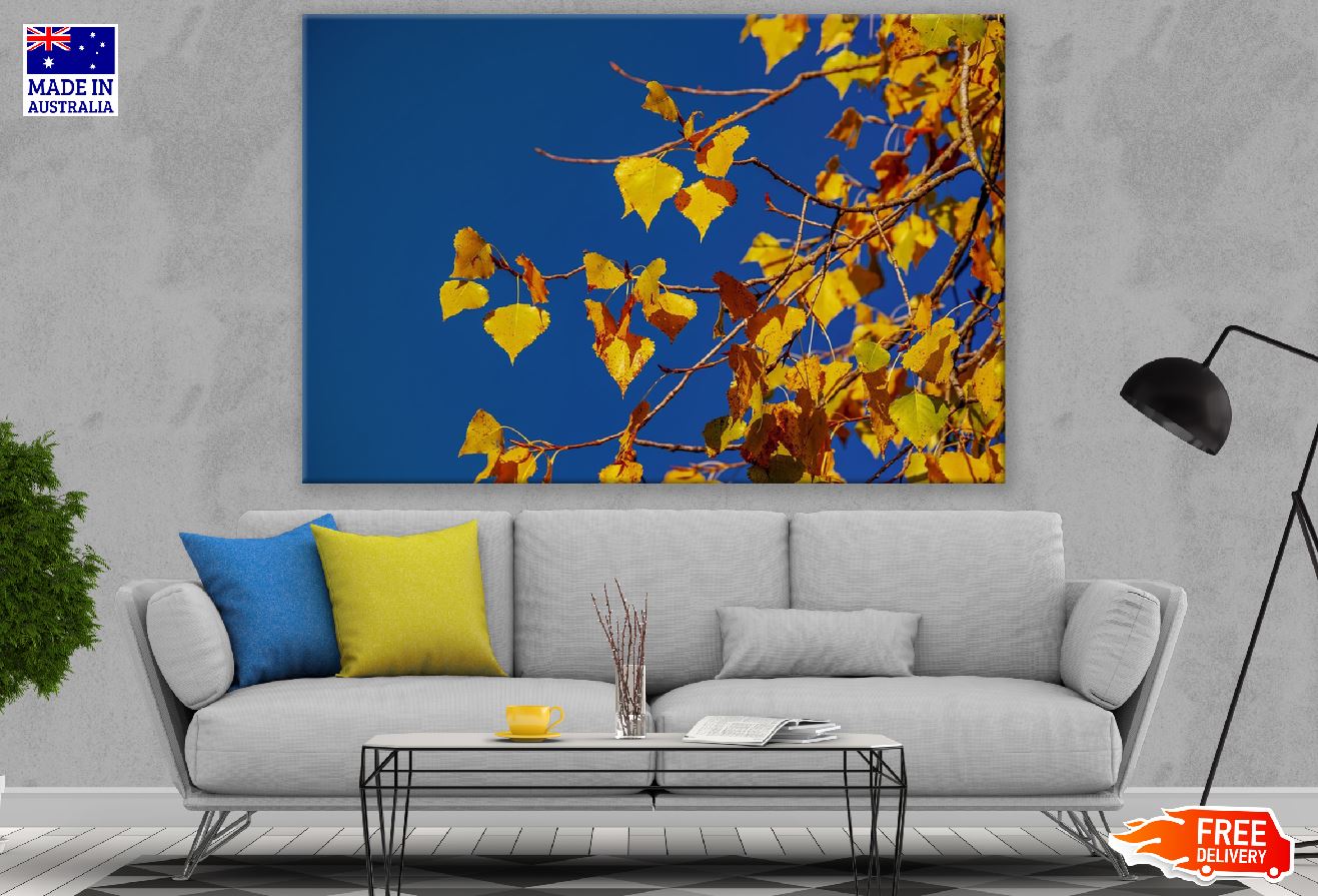 Linden Leaves Branch Under Blue Sky Photograph Print 100% Australian Made