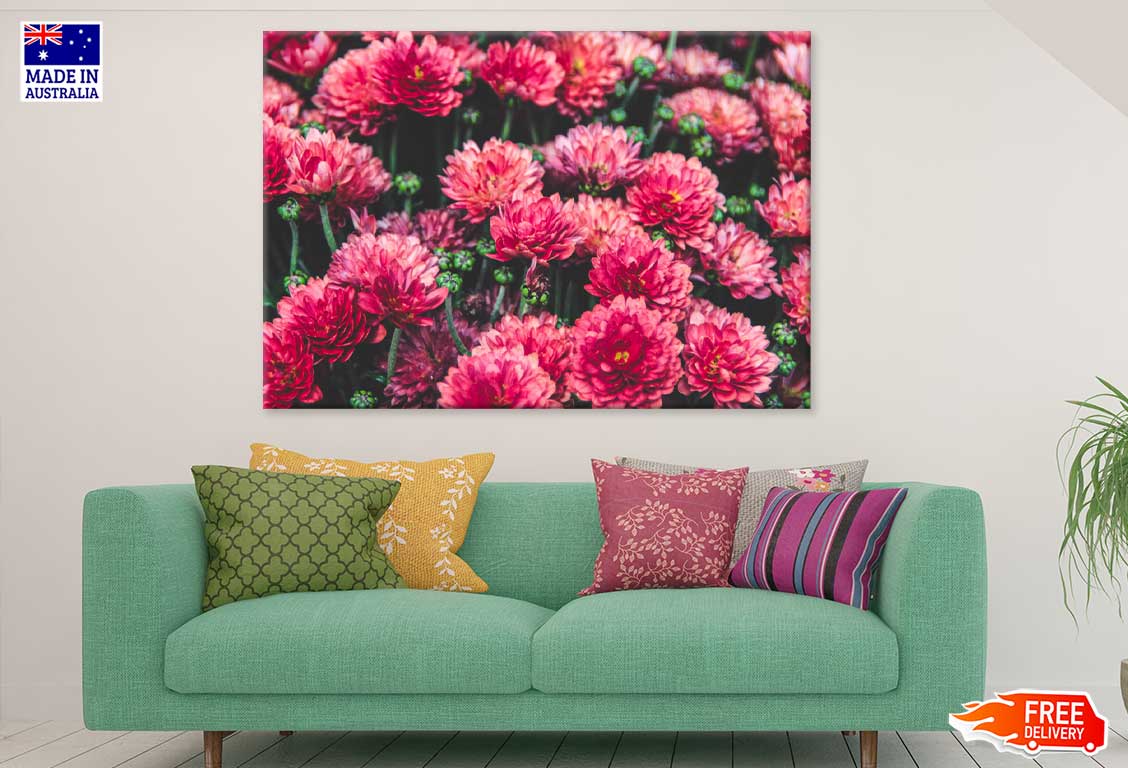 Red Chrysanthemum Flowers View Photograph Print 100% Australian Made