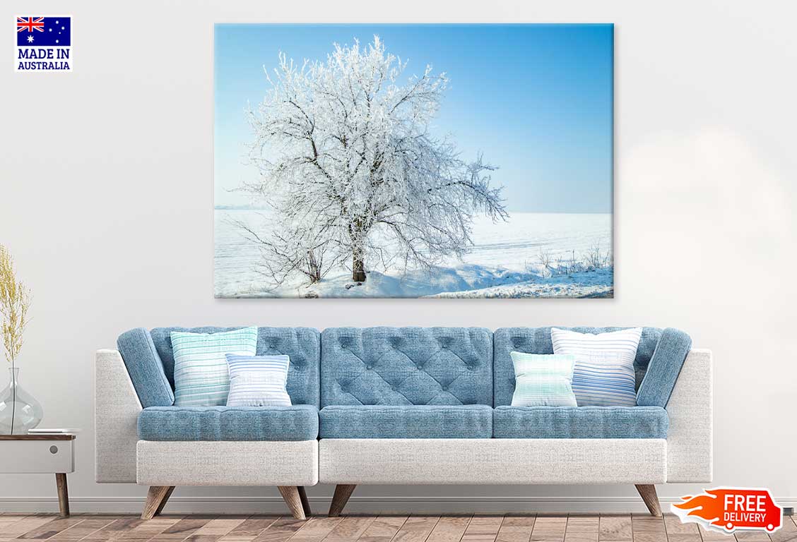 Snow Tree on Field with Blue Sky Scenery Print 100% Australian Made