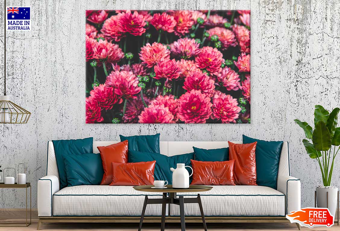 Red Chrysanthemum Flowers View Photograph Print 100% Australian Made